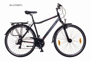 Felnőtt kerékpár - Neuzer Ravenna 100 ffi fekete bordo szurke